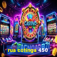 rua cotinga 450