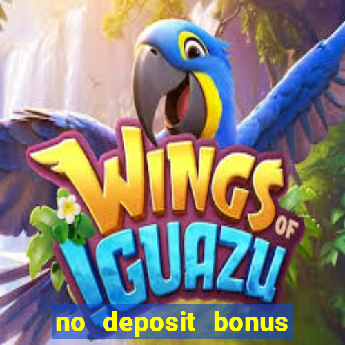 no deposit bonus casino free spins