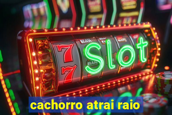 cachorro atrai raio