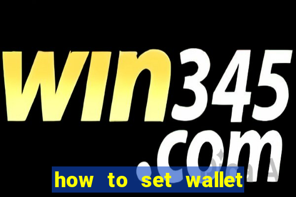 how to set wallet password in bingo plus