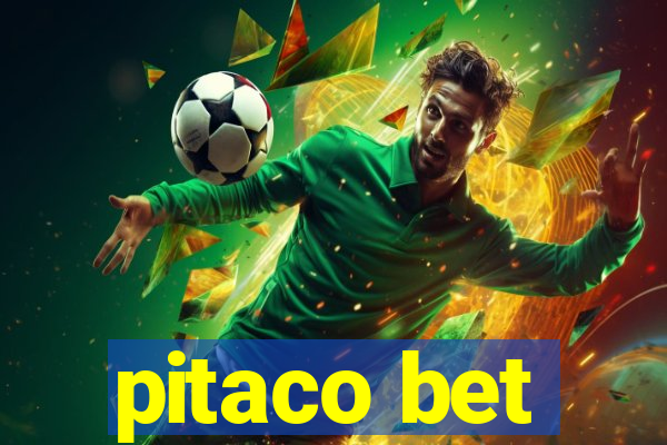 pitaco bet