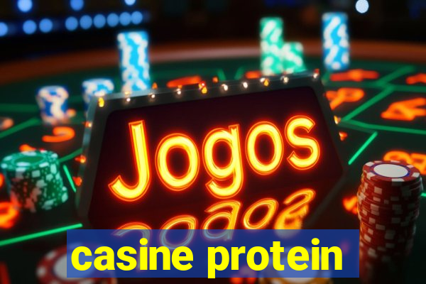 casine protein