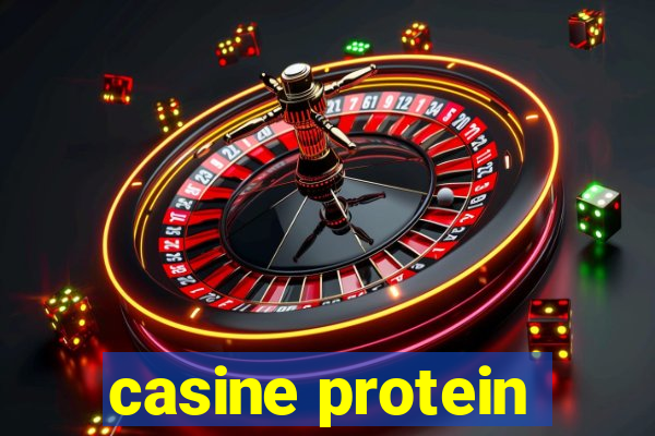 casine protein