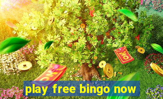 play free bingo now