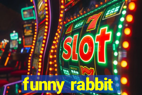 funny rabbit