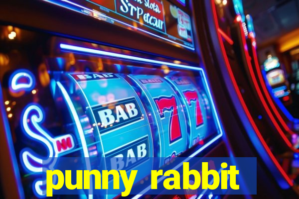 punny rabbit