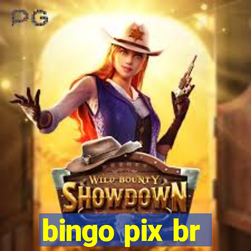 bingo pix br