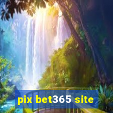 pix bet365 site