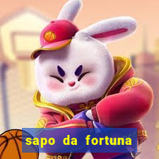 sapo da fortuna feng shui