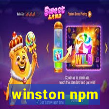 winston npm