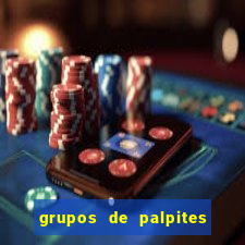 grupos de palpites de futebol whatsapp