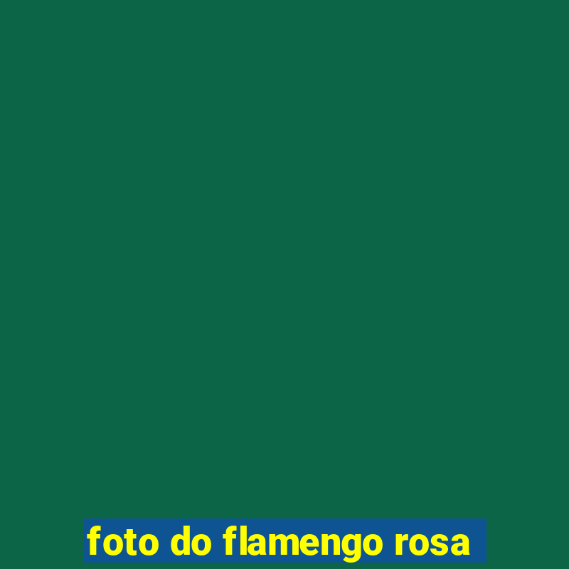 foto do flamengo rosa