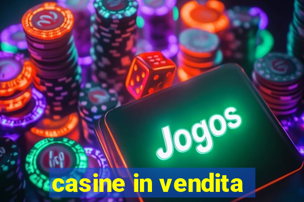 casine in vendita