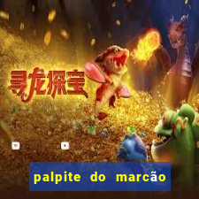 palpite do marcão jogo do bicho