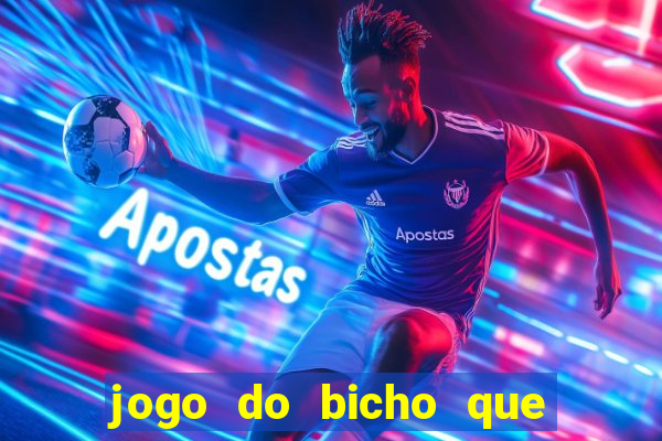 jogo do bicho que da dinheiro