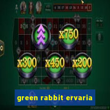 green rabbit ervaria