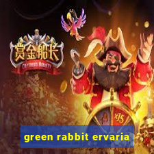 green rabbit ervaria