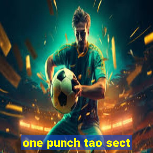 one punch tao sect