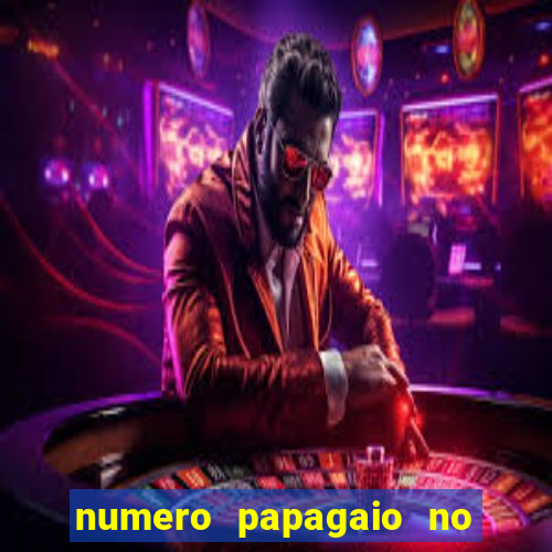 numero papagaio no jogo do bicho