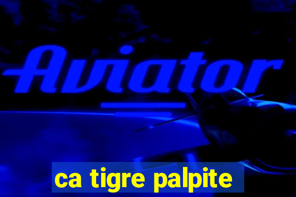 ca tigre palpite