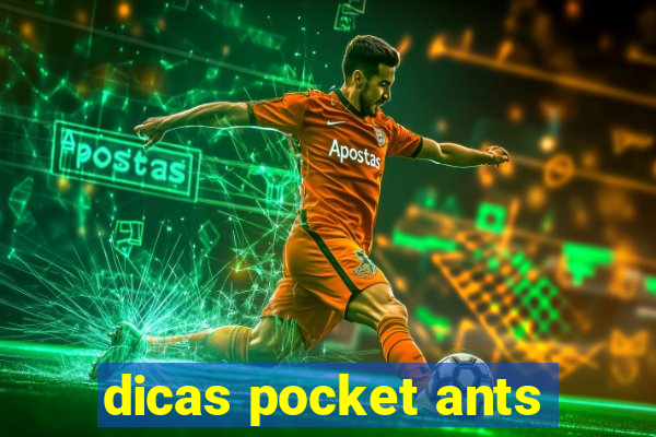 dicas pocket ants