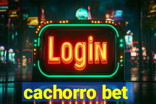 cachorro bet