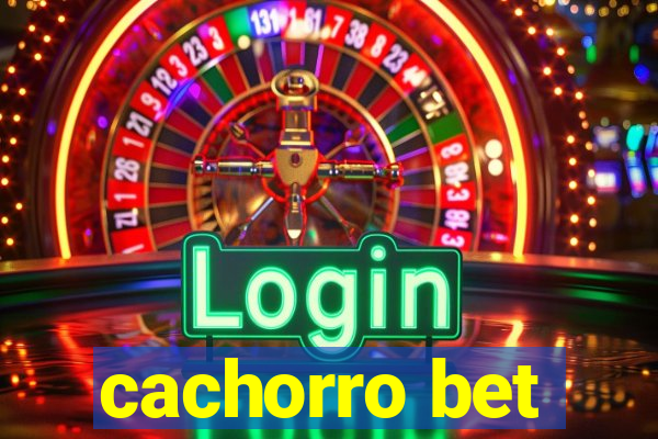 cachorro bet