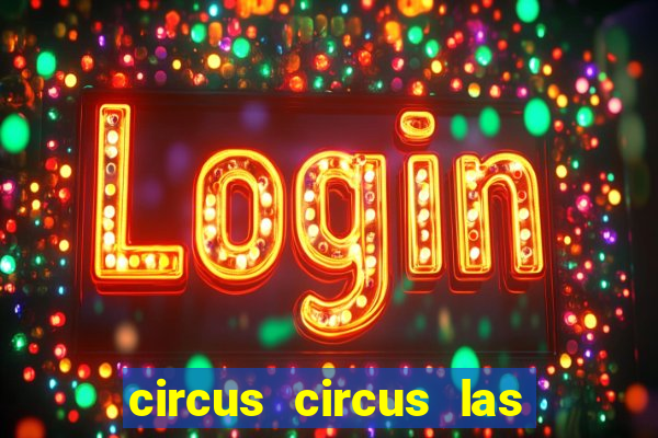 circus circus las vegas hotel & casino