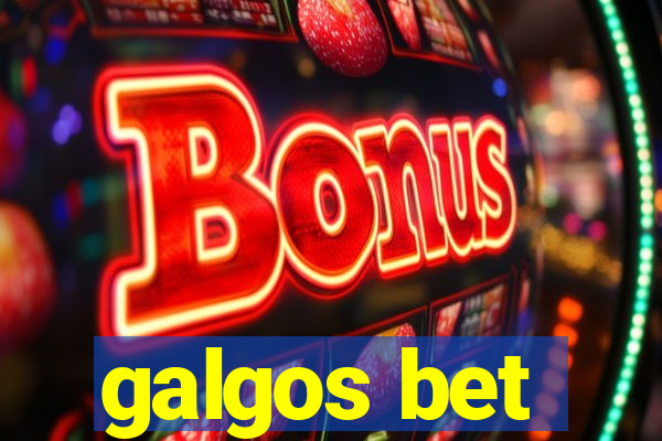 galgos bet