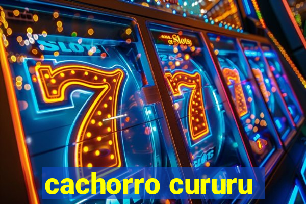 cachorro cururu