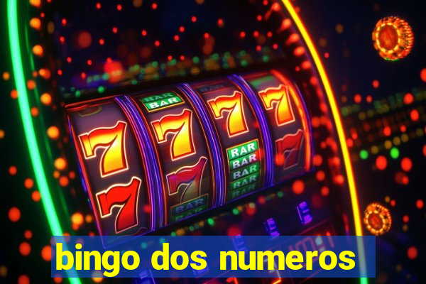 bingo dos numeros