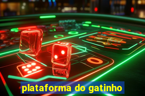 plataforma do gatinho