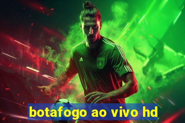 botafogo ao vivo hd