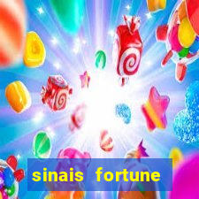 sinais fortune rabbit