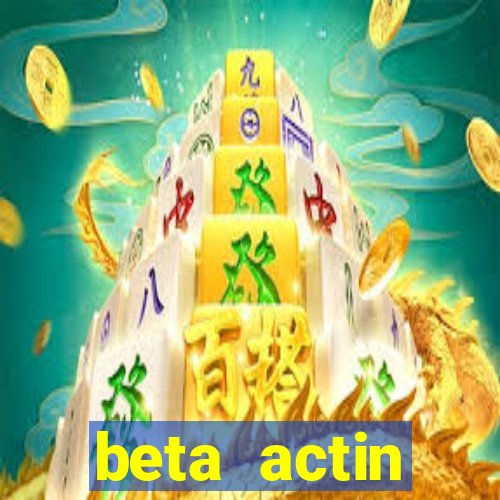 beta actin molecular weight