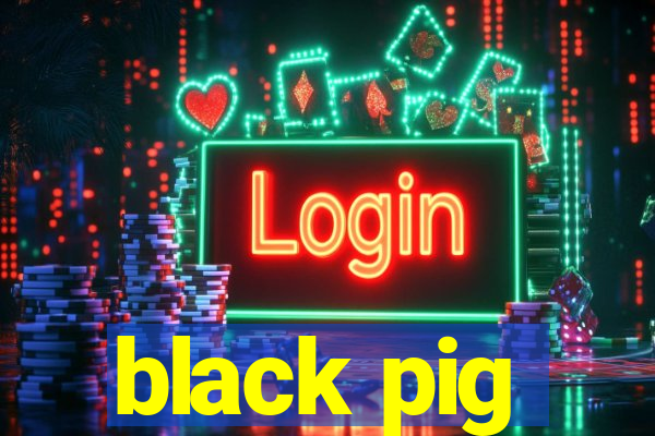 black pig