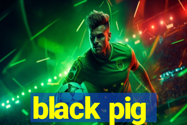 black pig