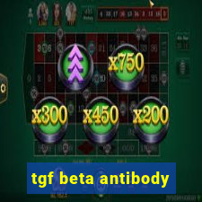 tgf beta antibody