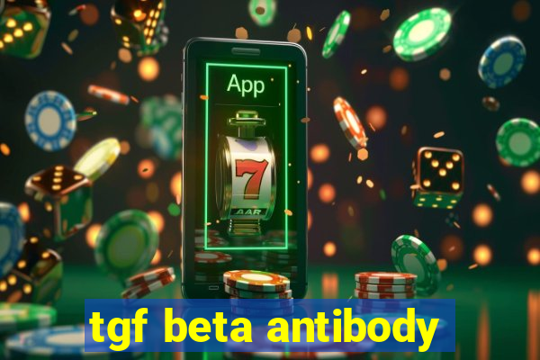 tgf beta antibody