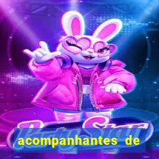 acompanhantes de nova mutum