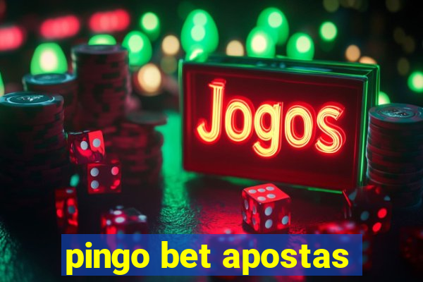 pingo bet apostas