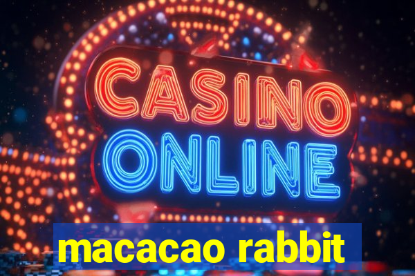 macacao rabbit