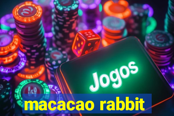 macacao rabbit