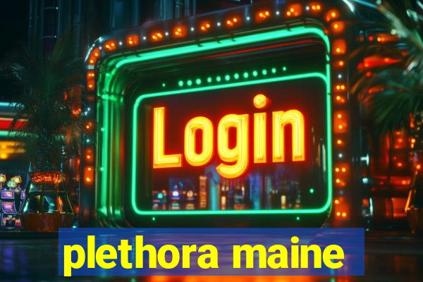 plethora maine