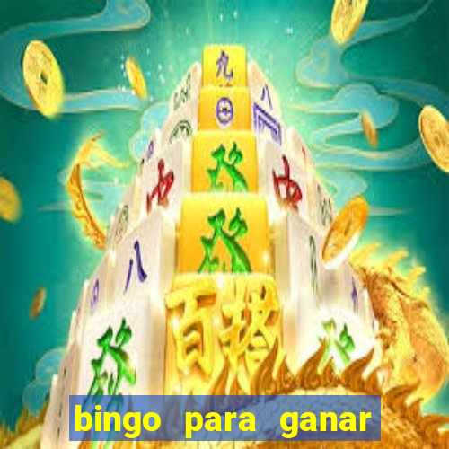 bingo para ganar dinero en paypal