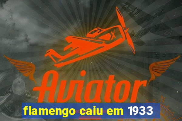 flamengo caiu em 1933