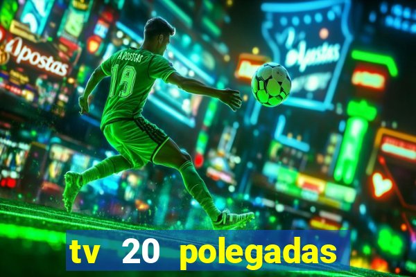 tv 20 polegadas casas bahia