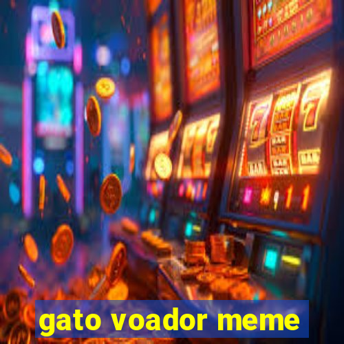 gato voador meme