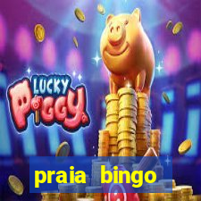 praia bingo download pc