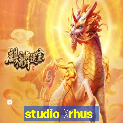 studio 氓rhus